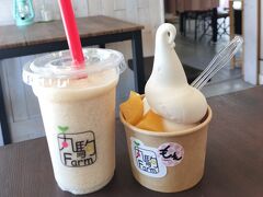 2024夏の和歌山　あら川の桃と春林軒