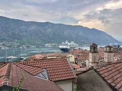 小4娘と7泊9日で旧ユーゴスラビア【5.悲惨な最終章】モンテネグロ・コトル自力日帰り