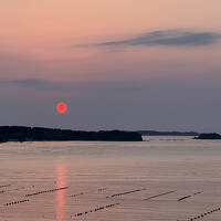 北海道ドライブ旅行 １１日目と最終日　奇跡の一本松から南三陸へ、そしてラストラン
