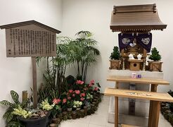 ①マダムの暮らすように旅する福岡9月　１日目の１　自宅・・自宅最寄りのバス停＝羽田空港