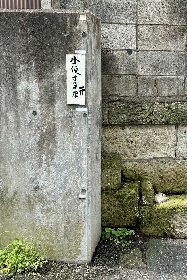 30年間の海外駐在員生活を終え、人生の最後にタイ国に移住してみる事にしたの...記（バンコクから日本へ一時帰国）