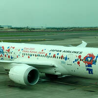 台風１０号発生中に台北行って予定通り帰国できたけど交通機関の運休の影響で家に帰ったのはその７日後