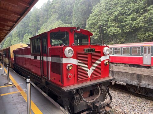 2024年9月台湾弾丸鉄道旅行4（阿里山森林鉄道）』阿里山周辺(台湾)の