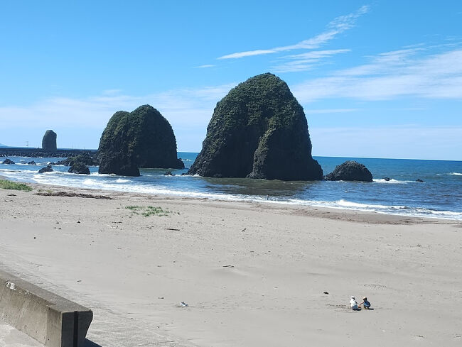 仕事を辞めたらやりたいことはいろいろあったが、その一つに北海道へフェリーで行ってマイカーでドライブを楽しむこと。時間の制約なしに気楽に行く旅はよい。<br />北海道は何度も行っているし、車であちこち運転しているので、北海道一周するほどではないが、仙台―苫小牧、小樽―新潟をフェリーで行き、道南方面で３泊してドライブを楽しむことにした。<br />フェリー料金は車込みで片道３万円以下なので、飛行機代と比べて悪くはない。関東からは茨城県の大洗からのフェリーが便利だが、乗船時間が長すぎるので、仙台発、新潟着にした次第。<br /><br />その２は、厚沢部町から絶景が続く日本海側の国道2２9号線（日本海追分ソーランライン）を北上して、積丹半島まで行き、神威岬の手前の神恵内村の綱城荘という民宿に泊まり、海鮮を堪能、翌日は積丹半島をまわって小樽に入り、新南樽市場で海鮮丼を食べて、夕方の新日本海フェリーに乗船、翌日朝、新潟港に到着。<br />のんびりドライブと船旅を楽しめました。