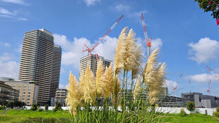 2024年9月5日～千葉で人気の街 柏の葉散策に三井ガーデンホテル柏の葉パークサイド泊