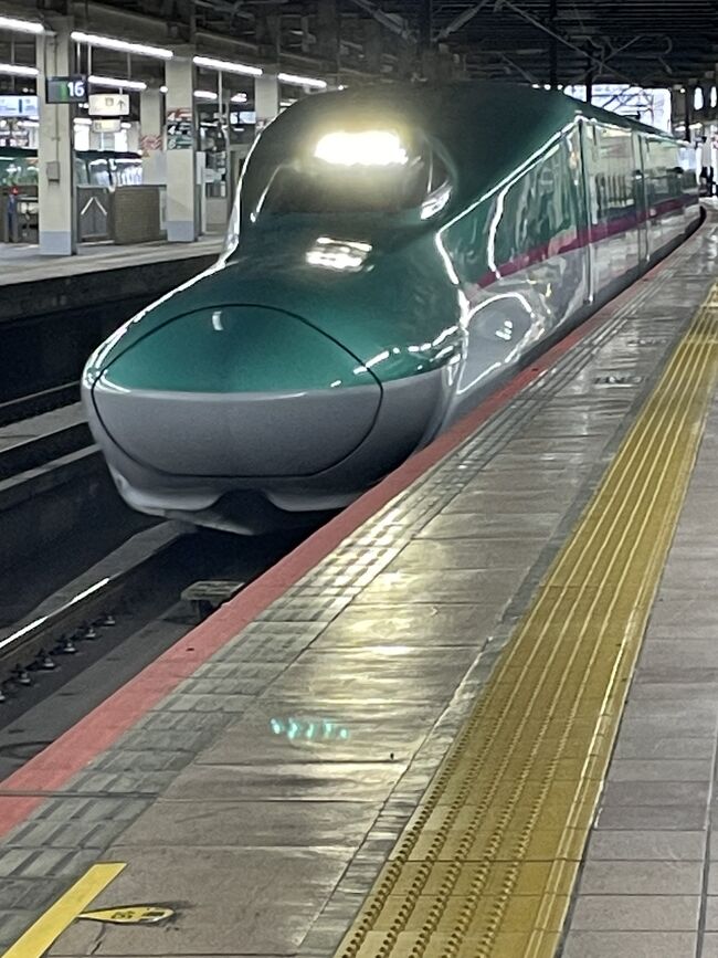 ずんだシェイク衝撃の美味さ!
