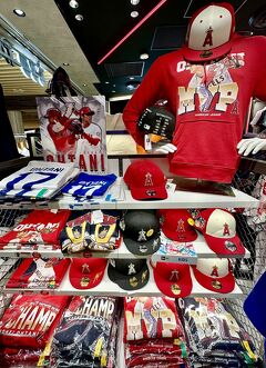 30年間の海外駐在員生活を終え、人生の最後にタイ国に移住してみる事にしたの...記（日本からバンコクに戻る）