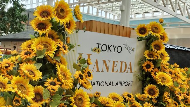 羽田空港で空活　東京１泊旅　その１