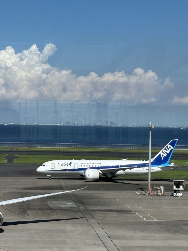 最後に羽田空港を使ったのは6年前、その後我がワンコが糖尿病になり朝晩12時間毎のインスリン注射が必要なため、1泊旅行はおろかご飯と注射の時間には家にいないといけない生活スタイルになりました。<br />先月ワンコがほぼ17歳で息を引き取ったので、心が空っぽになり何から手をつけたらいいのやら…<br />昼からちょっと空港まで行ってみようかな、お菓子でも買って帰ろうかな、なノリで今日を過ごしました。