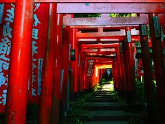 鎌倉、横浜、東京。飲んで食べてばかりいた2024年の夏のこと
