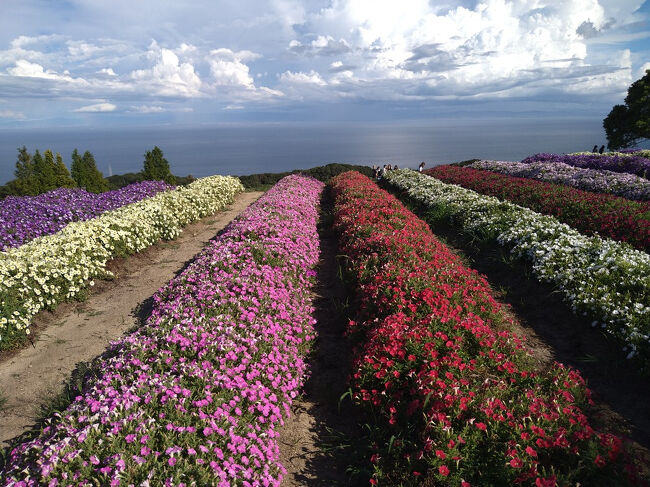 アオアヲナルトリゾートランチとあわじ花さじき～「大塚国際美術館とアオアヲナルトリゾートランチ」ツアーに参加する②～