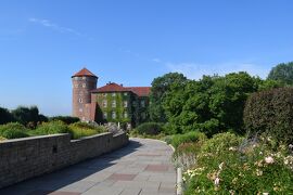 夏旅☆ポーランド　世界遺産とポーリッシュポタリーに出会う旅　ヴァヴェル城編