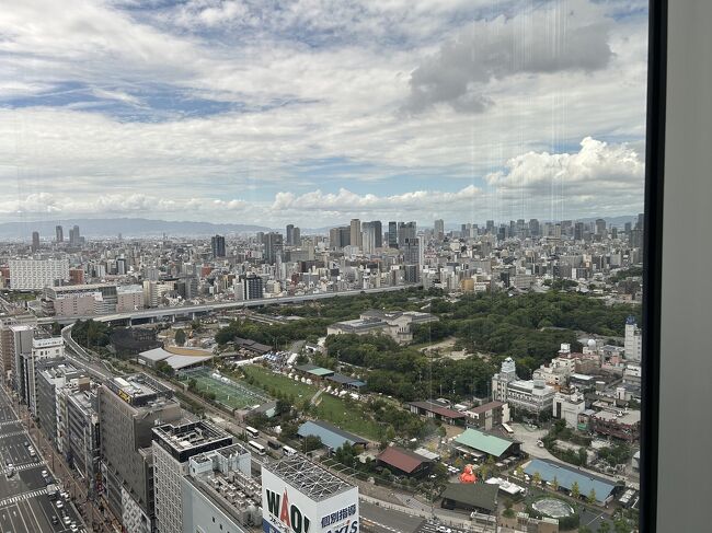 大阪への母と三姉妹の4人旅です。<br />母が「あべのハルカスに登ったことがない」と言ったのがきっかけで計画しました。<br /><br />宿泊:<br />大阪マリオット都ホテル<br />1部屋目:クラブラウンジアクセス付きツイン 86,469円/2人<br />2部屋目:無料宿泊プラスポイント/2人<br /><br />2部屋目はアップグレードされて、デラックスのお部屋にしてもらえました。<br />こちらは、プラチナ会員ステータスでラウンジアクセス付き。<br /><br />高齢の母との旅なので、ホテル滞在時間を長めにして快適に過ごせるようにしました。