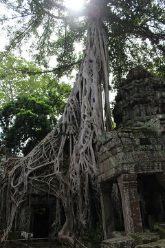 アンコール遺跡とクメール料理堪能旅②