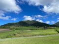 子連れ旅行　蒜山高原