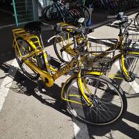 2024秋　世界遺産巡り／サイクリング／観光列車の旅（２）　しまなみ海道サイクリング　生口島 旅館つつ井