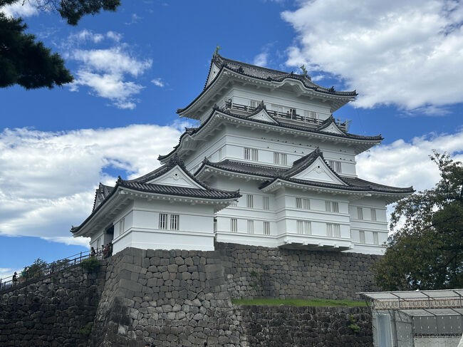 よく一緒にお出かけしている名実ともにおばあさんになったおばさん3人でたまには遠出しましょう・・とJR東海道線に乗って小田原まで行くことにしました。<br />ミナカ小田原という複合商業施設にある小田原新城下町で食べ歩きをしたり、展望足湯庭園からの景色を眺めながらくつろぐのがいいらしい、というのが今回小田原を目的地に決めた理由です。<br />集合は戸塚駅。<br />小田原新城下町は素敵な雰囲気の建物ではあったけれど、まだ早いせいか食べ歩きとかの雰囲気じゃない・・<br />それでは・・とランチできそう素敵なお店を検索して【右京】に予約。<br />そこに向かって小田原城を通り抜け<br />「柳屋ベーカリー」であんパンを購入して<br />「ういろう」というお城のような建物のお店に入ってみて<br />更に歩いて右京に到着。ゆったりした素敵なお店で美味しいランチをいただき、そのまま歩いて海に出てみました。<br />砂浜を歩いてくたくたになったのでバスで小田原駅まで戻り<br />ラスカ小田原の【カフェ・ラ・ミ】で休憩。<br />一休みしたらミナカ小田原のタワー棟の足湯に行くとか、かまぼこ通りにいってかまぼこ発祥のお店に行くとかいう案はあったけれど、疲れたし時間も遅くなったし・・と結局鈴廣かまぼこ小田原駅前店でお土産のかまぼこを買ってJR東海道線に乗って帰宅しました。<br />大した下調べもしないで行き当たりばったりにしては、あちらこちら行けて楽しい一日でした。<br /><br /><br />
