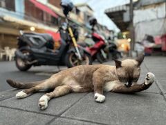 王道以上マイナー未満のバンコク初日