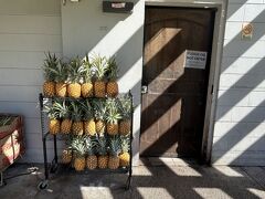 Aloha E Komo Mai☆Hauʻoliな休日*¨*•.¸¸♪♬やっぱりハワイ大好き♡No.2