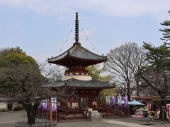 喜多院・旧山崎家別邸