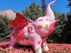 2024年1月　摩訶不思議姉妹のタイ滞在記アゲイン 15(チェンライ7日目フラワーフェスティバル編)