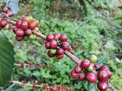 2024年1月　摩訶不思議姉妹のタイ滞在記アゲイン 17(暁の家編)