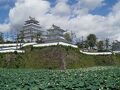 2024夏　旅名人の九州満喫きっぷで行く九州一人旅　その５【島原城・大三東駅・島原鉄道】