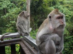 のんびり癒旅　その2.ウブド前半