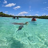 フェリーで与論に行ってきました(ウミガメに逢えた！)