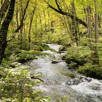 2024年9月 大館能代空港から奥入瀬渓流と十和田湖「十和田ホテル」