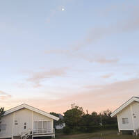24年9月ワンコと行く伊良湖・熊野古道・奈良・大阪・名古屋 その１伊良湖編