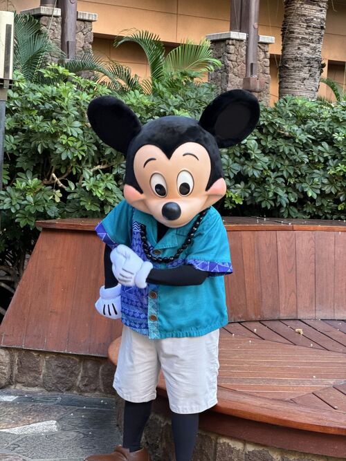 アウラニ・ディズニー・バケーション・クラブ・ヴィラ
