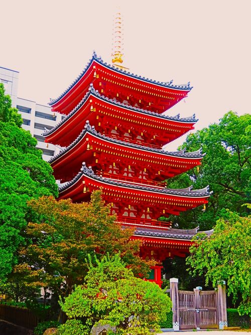 福岡-6 南岳山東長寺 五重塔ｰ総檜造/2011年完成 ☆福岡大仏ｰ最大級の