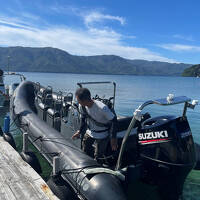 仔猫といっしょ計画（北東北旅行２０２４　４日目 十和田湖編）