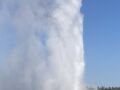 2024夏 Grand Teton & Yellowstone 国立公園の旅6 (Geyser 巡り-1)