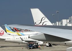 ⑬マダムの暮らすように旅する福岡9月　４日目　福岡空港～羽田空港～自宅最寄りのバス停～カイロ～自宅