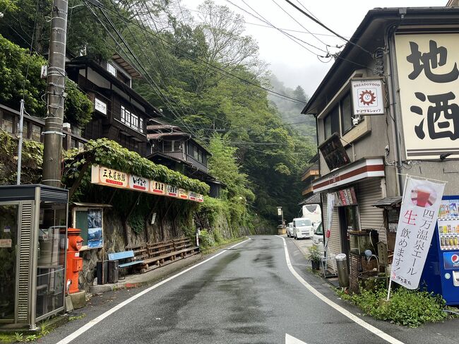定期的に特急列車に乗りたい欲が出てくる。一度も乗ったことない草津四万にのろうと決める。草津温泉に行くなら高速バスの方が速いし安い。四万温泉の積善館へは一度行ってみたかったので、四万温泉へ。調べると草津温泉にも行けそうだと思い2日目は草津へ。