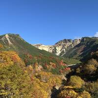 旭岳温泉湧駒荘　十勝岳温泉カミホロ荘　ログホテルメープルロッジ　旭岳　旭山動物園！