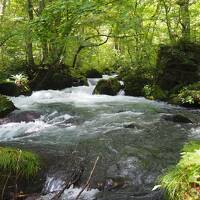 秋の東北周遊 ３泊４日　３日目 （奥入瀬渓流・十和田湖）