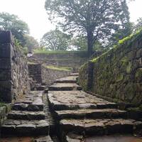 大人の休日倶楽部パスで城巡り・・・箕輪城・鉢形城・金山城・足利氏館・川越城