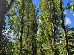 無料で楽しむ札幌