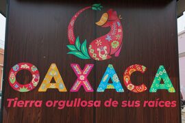 メキシコ　オアハカ（Oaxaca)とモンテアルバン（Monte Alban)遺跡観光 2024年5月