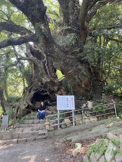 40代夫婦2人旅2泊3日その3。大三島の大山祇神社、奥之院生樹の御門 、美術館、伯方の塩