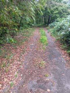 ２１-奥奥州･松前道 平館灯台前バス停～津軽浜名駅バス停　(10/１　20.5 km)