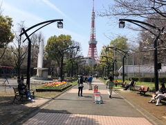 訪れた先は桜の花がどこも六分咲きでしたが、背景にある東京タワーとのコラボは絶景でした。