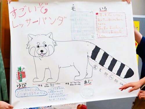 ルン吉様 5点おまとめ（YONEKiCHi グルコサミン コンドロイチン