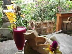 2024 10月アラ６０姉妹バリ島１ ウブド散策、ケチャ、ワルン