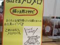道の駅小坂田公園から小谷迄日帰りで駆け抜ける！