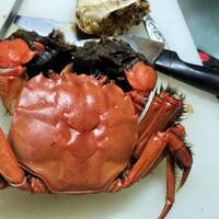 「宮之城温泉」ふたたび & 山太郎ガニを食す !!!!