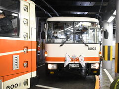 黒部峡谷とアルペンルート・雷鳥と最後のトロリーバス